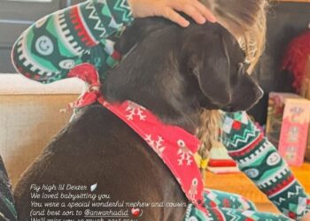 Gigi Hadid Pays Tribute to Brothers Dog With Sweet Photo of Daughter Khai