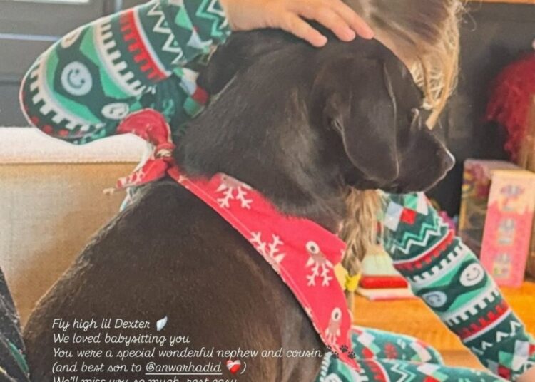 Gigi Hadid Pays Tribute to Brothers Dog With Sweet Photo of Daughter Khai