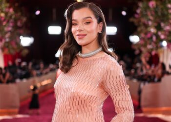 Hailee Steinfeld Shares Pregnancy Update, Amasses 1.7 Million ‘Likes'