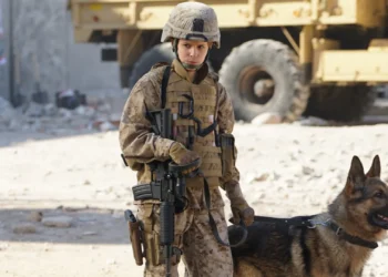 (Source: IMDb)