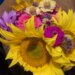 Here's what to know before you buy flowers for your Valentine