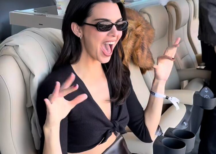 Kendall Jenner's Instagram Story from the Super Bowl