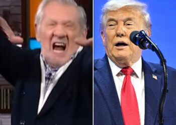 Ian McKellen Reveals The Moment He Took Aim At Trump While Filming New Marvel Movie
