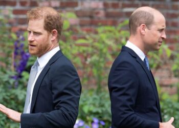 Inside Prince Harry’s ‘battle plan’ to reunite with Prince William - Celebrity News - Entertainment
