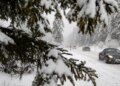 Italian Boy Forced Off Bus Into Snow After Olympic Price Hike Gets Incredible Turnaround