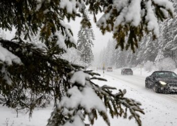 Italian Boy Forced Off Bus Into Snow After Olympic Price Hike Gets Incredible Turnaround