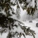 Italian Boy Forced Off Bus Into Snow After Olympic Price Hike Gets Incredible Turnaround