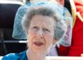 I’ve met Princess Anne before and she will hate Andrew arrest drama | Royal | News