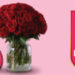 Netflorist