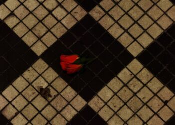 Image may contain Flower Petal Plant Rose Pattern and Floor