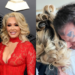 Jelly Roll’s Wife Has Us in Tears Over His 2026 Grammy Win