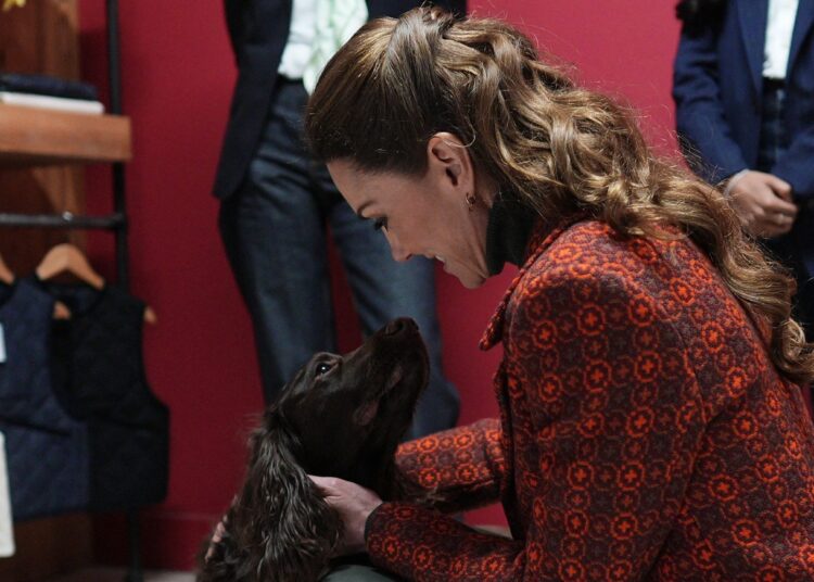 Kate Middleton confirms details about new furry family member