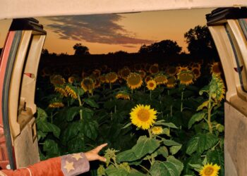 Kevin Morby: Little Wide Open