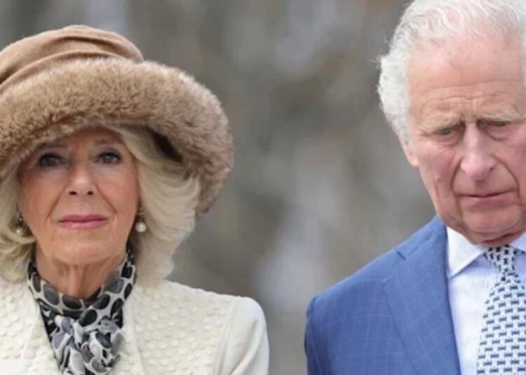 King Charles, Royals are not ‘bright’ enough to live in mansions