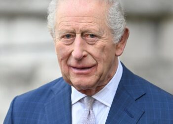 King Charles Stuns Royal Fans By Posting Prince Harry Video on Instagram