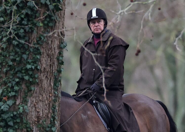 A man riding a horse, looking on