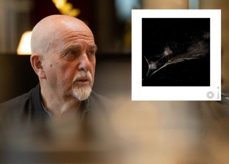 Listen to Peter Gabriel's New Song 'Put Down the Bucket'