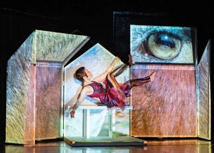 Longtime Seattle artists’ Moore Theatre show builds rich visual world | Entertainment