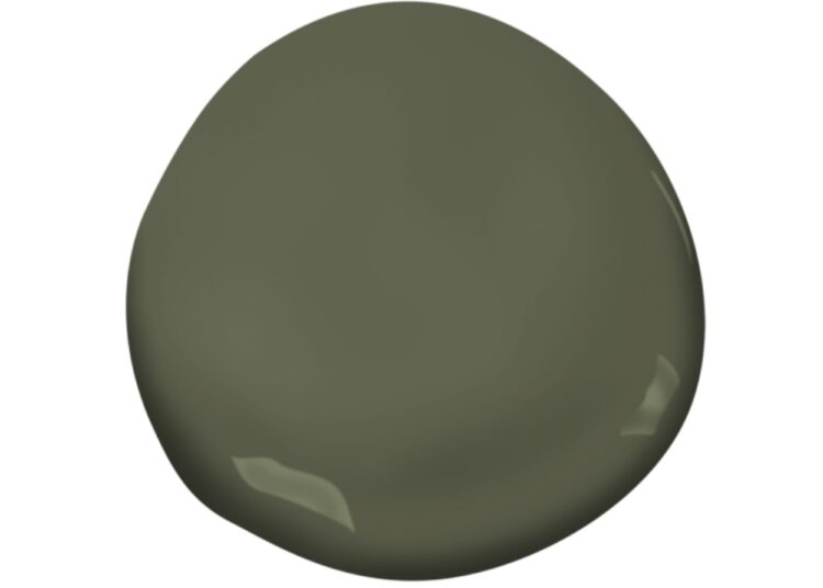 Earthy green paint sample