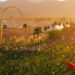 Marriott Bonvoy Launches Exclusive One-Point Festival Experiences at the World's Biggest Music Events