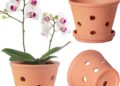 Amazon orchid pot