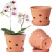 Amazon orchid pot
