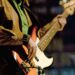 Medina County live music and karaoke listings, Feb. 12–16