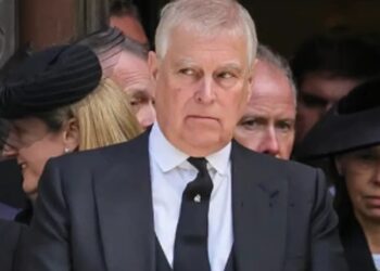 Misconduct Allegations, Epstein Links and Royal Immunity Explained