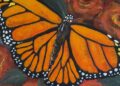 Monarch Butterfly Art Show takes flight at Treats Ice Cream | Entertainment