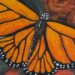Monarch Butterfly Art Show takes flight at Treats Ice Cream | Entertainment