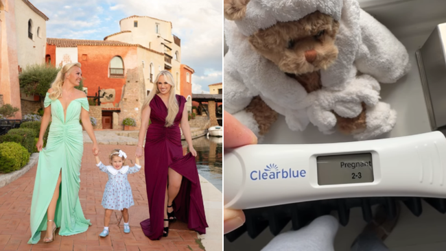 Rebel Wilson and her wife Ramona Agruma are expecting baby number two.