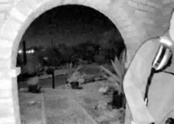 Nancy Guthrie subject has 'what appears to be gun' in surveillance image, says NBC - Celebrity News - Entertainment