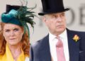 New Prince Andrew Allegation Surfaces as Sarah Ferguson’s Alleged Epstein Email Gains Attention | Andrew Mountbatten Windsor, Epstein Files, Jeffrey Epstein, Prince Andrew, Sarah Ferguson | Celebrity News and Gossip | Entertainment, Photos and Videos
