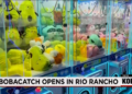New entertainment spot brings Asian pop-culture to Rio Rancho