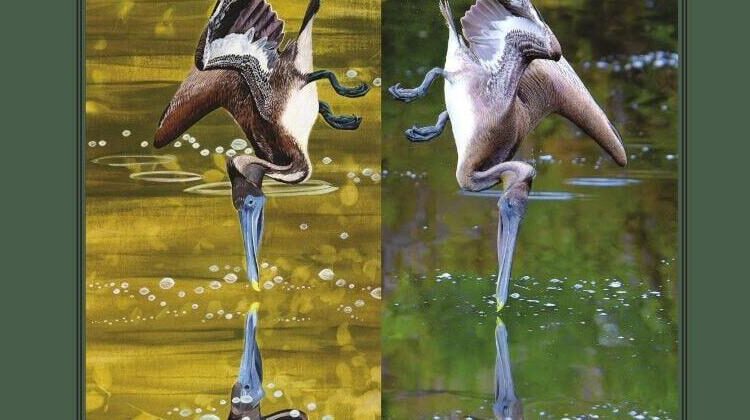 Poetry Collection "Diving Into Nature" Review | Entertainment/Life