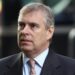 Prince Andrew Viral Photo Hung in Louvre by Activists Following His Arrest