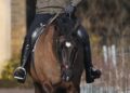 Prince Andrew in Exile at Sandringham's Wood Farm