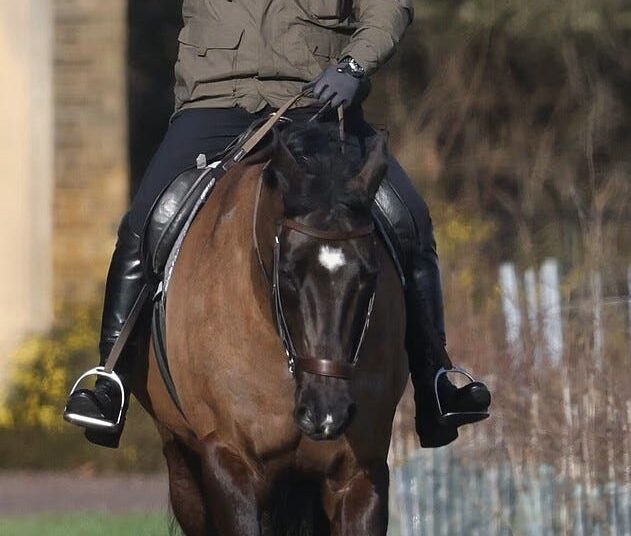 Prince Andrew in Exile at Sandringham's Wood Farm