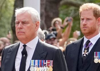 Prince Harry brutally tears apart uncle Andrew Mountbatten-Windsor | Royal | News