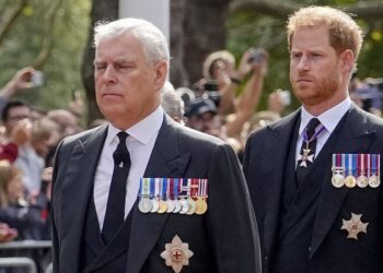 Prince Harry’s telling comment about disgraced Andrew goes viral | Royal | News