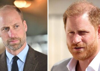 Prince William and Harry's 'ugly feud' began over Meghan security - Celebrity News - Entertainment
