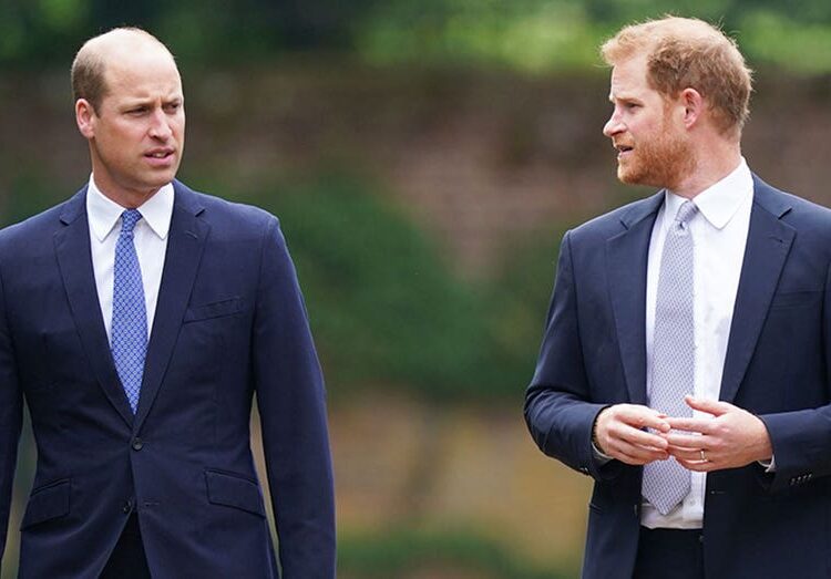 Prince William deliberately distanced himself from Prince Harry as he prepares for the throne: butler