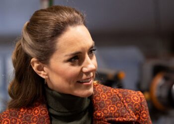 Princess Kate addresses rumours on latest family addition | Royal | News