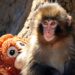 Punch: Baby monkey makes us laugh, cry, see ourselves in his struggle
