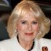 Queen Camilla invites special expert at royal home amid tough family crisis