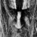 Rob Zombie Launches His New Album "The Great Satan" With A Music Video For "F.T.W. 84"