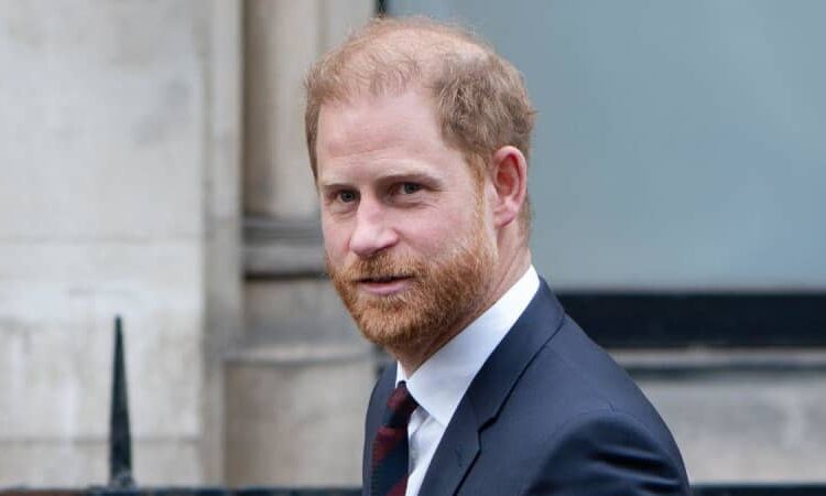 Prince Harry's warmth and easy rapport may be what The Firm needs for its brand, a source said.MEGA