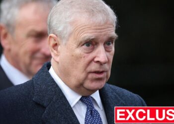 Royal Family are 'past damage limitation' amid Andrew's arrest - Celebrity News - Entertainment