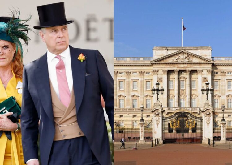 Royal expert claims police search office of Andrew at Buckingham Palace