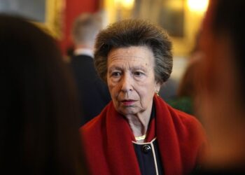 Royal expert: 'trump card' Princess Anne can save monarchy from Andrew | Royal | News